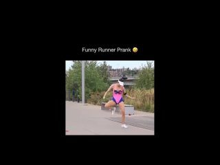 vide funny - funny videos